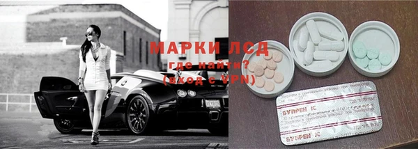 сатива Нязепетровск
