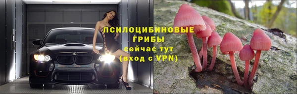 сатива Нязепетровск