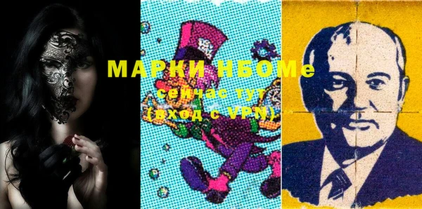 твердый Няндома