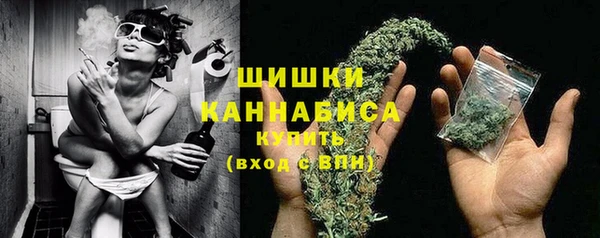 твердый Няндома