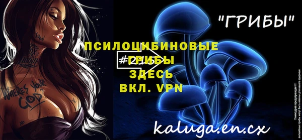 сатива Нязепетровск